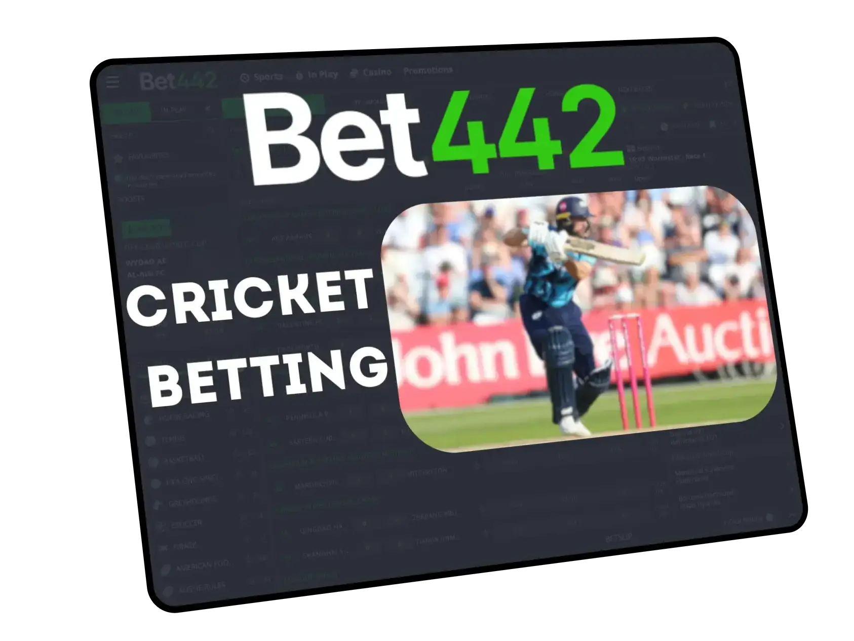 Bet442 Cricket Betting